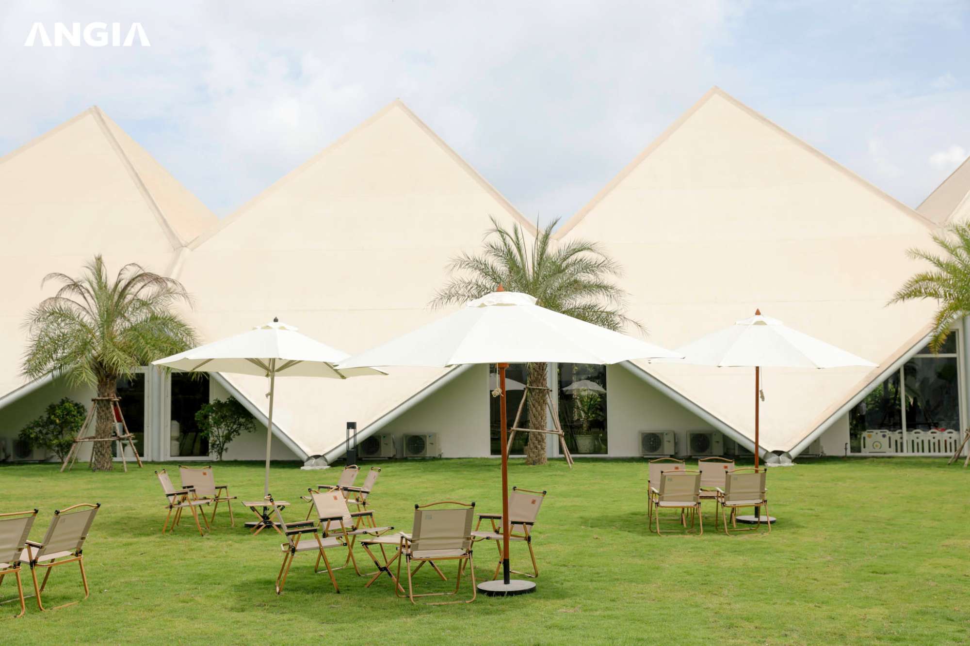 HÌNH ẢNH SALE GALLERY